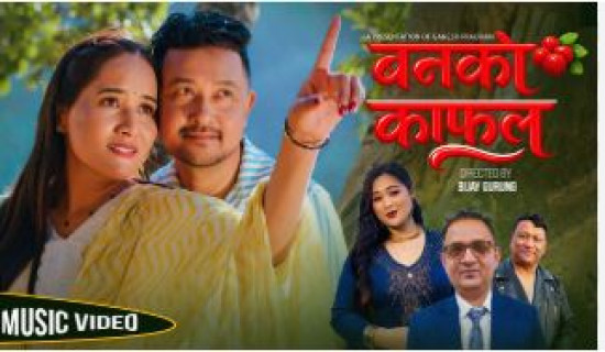 तृप्तिको स्वरमा ‘वनको काफल’