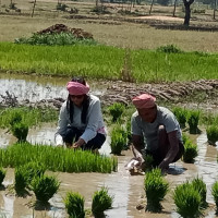 ताप्लेजुङमा भर्‍याङबाट लडेर एकको मृत्यु