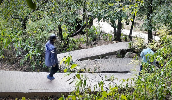 सल्यानमा पाँचतले गुफासम्म पुग्ने पदमार्ग निर्माण
