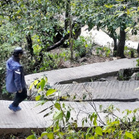 ताप्लेजुङमा भर्‍याङबाट लडेर एकको मृत्यु