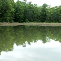 सुनचाँदीको मूल्य घट्यो