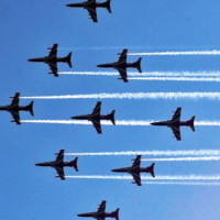 पानी सङ्कट दोषी रुख कि मानव ?