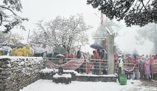 सडक भत्काउने समस्या समाधान गर्न पहल