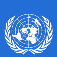 चिसियो चलचित्र बजार