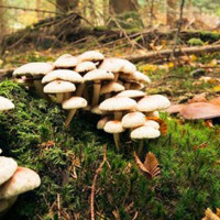 सडक निर्माण अलपत्र सर्वसाधारणलाई सास्ती