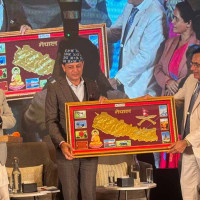 अब गणतन्त्रलाई खतरा छैन : नरहरि आचार्य