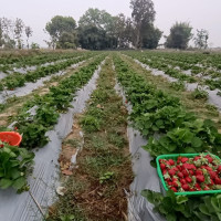 भूकम्पका ४८ घाइते निको भएर घर फर्किए