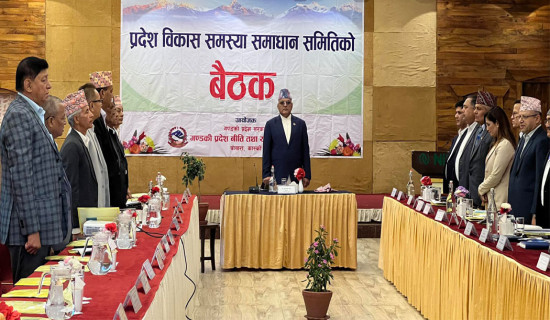 उपसभामुखमा लामा र ठाकुरको उम्मेदवारी