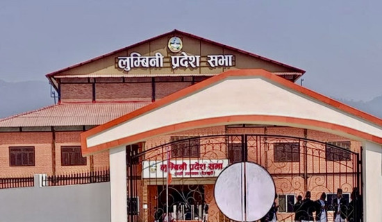 दललाई उत्तरदायी बनाइने