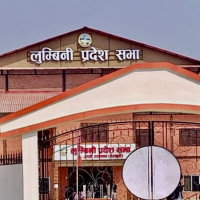 ऐन संशोधनको सुझाव दिन ढिलाइ