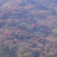 एक महिनामा साढे सात लाख हवाईयात्रु