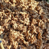 देश विकासका आधार