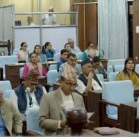 प्रतिनिधि सभामा सत्र जना दलित