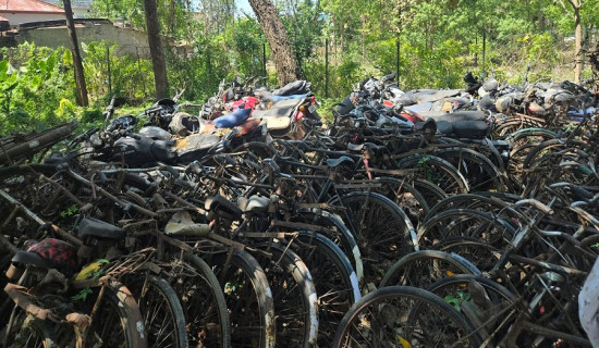बरामद साइकल र काठ लिलामबाट ४२ लाखभन्दा बढी राजस्व सङ्कलन