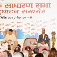 २४ घण्टामा  तीन जना डेंगु सङ्क्रमितको मृत्यु