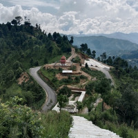 गुल्मीमा २८ मेट्रिक टन कफी उत्पादन