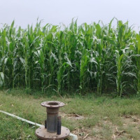 आर्थिक समृद्धिका लागि निजी क्षेत्रसँग सहकार्य आवश्यक : राष्ट्रपति