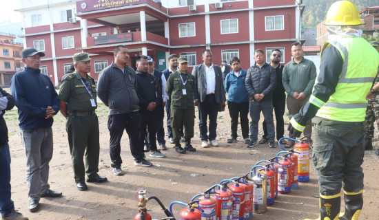 इटालियन प्रजातिको स्याउबाट एक वर्षमै उत्पादन