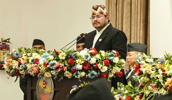 उपसभामुख पद हाम्रो प्राथमिकतामा थिएन : राप्रपा नेता शाही