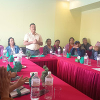 प्रतिनिधिसभाबाट धन्यवाद प्रस्ताव पारित