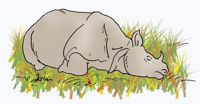 आत्मरक्षाका लागि गोली चलाउँदा गैँडाको मृत्यु