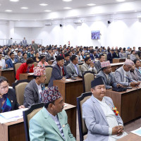 ८७ दलको दर्ता स्वीकृत