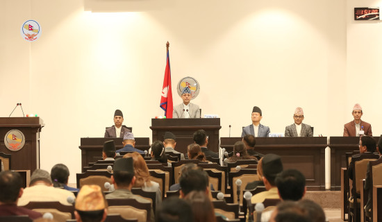 प्रतिनिधि सभा विषयगत समिति गठन