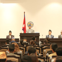 ८७ दलको दर्ता स्वीकृत