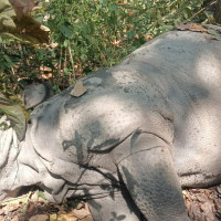 हर्मुज जलमार्गमा शुल्क नलगाउन ट्रम्पको आह्वान