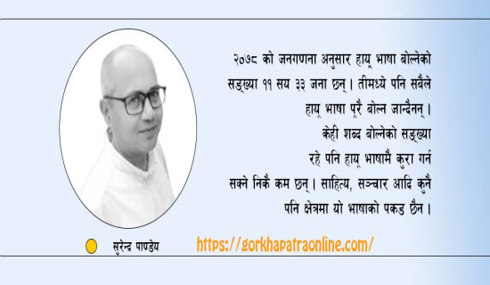 हायू भाषा–संस्कृति जोगाउने चुनौती