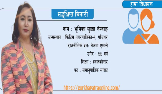 माइक समातेको हातमा कानुन बनाउने जिम्मा