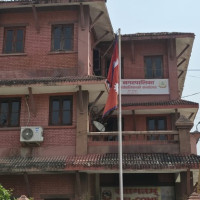 सेनाको गोली लागि गैँडा मर्‍यो