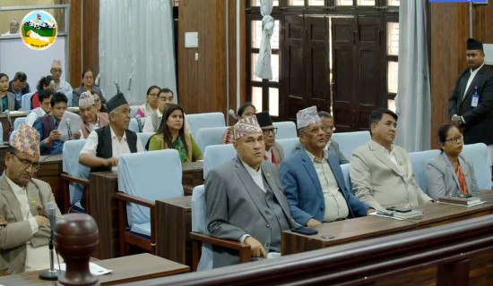 सेनाको गोली लागि गैँडा मर्‍यो