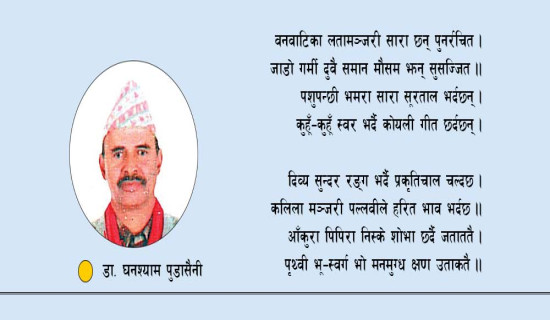 नयाँ वर्ष (कविता)