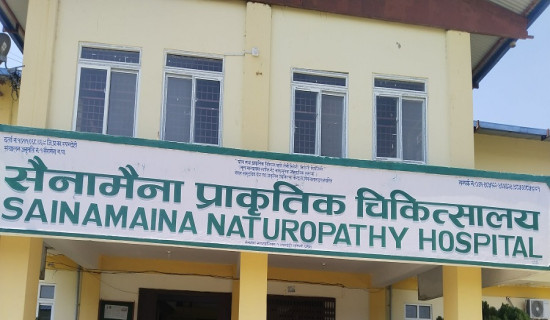 रुवी ठाकुर उपसभामुख बनेपछि गाउँमा खुसियाली