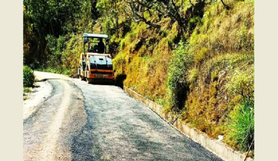 नेपाली कृतिमा साहित्यिक पत्रकारिताको खोज