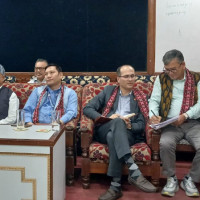 सहर सुन्दर बनाउन काठमाडौँ महानगरले सडक किनारामा गमलामा फूल रोप्दै