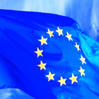 सहर सुन्दर बनाउन काठमाडौँ महानगरले सडक किनारामा गमलामा फूल रोप्दै