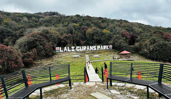 तरकारी सस्तियो, उपभोक्ताले पाएनन् राहत