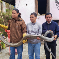 विद्यालय र अस्पतालमा मापसे परीक्षण गरिने