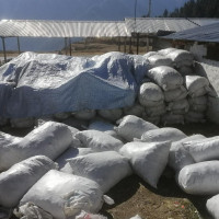 पीडितलाई चाँडो न्याय दिउँ : कानूनमन्त्री शर्मा