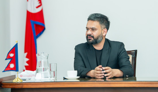 भिजिट भिसामा गोलमाल