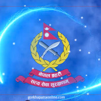 भिजिट भिसामा गोलमाल