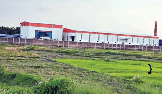 एक अर्ब लगानीमा सलाइन उद्योग सुरु