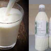 अमेरिका र इरानबिच वार्ता सुरु