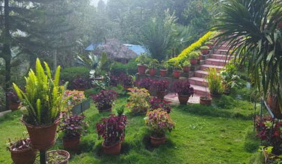 अवैध गतिविधिमाथि उच्च निगरानी