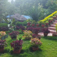 ‘जेनजी घाइतेको अध्ययन कानुनसम्मत’