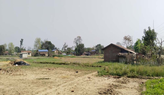 स्थायी बसोबास र रोजगारी पाउने आसमा मुक्त कमैया