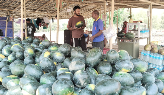परराष्ट्रमन्त्री डा. राणासँग अमेरिकी राजदूतको शिष्टाचार भेट