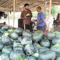गृहमन्त्री गुरुङलाई नवलपुरमा कार्यकर्ताको स्वागत